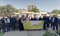 کاروان ترویجی زنگ زرد گندم با رویکرد الگوی کشت در گنبد کاووس برگزار شد 